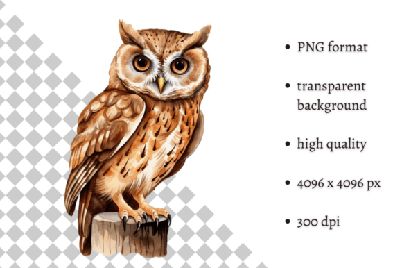 Download Watercolor Owl Illustration - Illustration Collection
