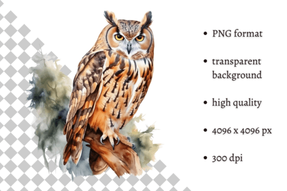 Download Watercolor Owl Illustration - Illustration Collection