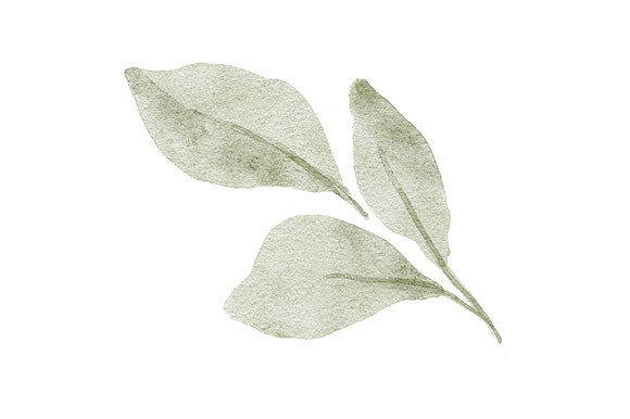 Download Greenery Watercolor Painted Leaf Foliage - Leaf foliage Collection